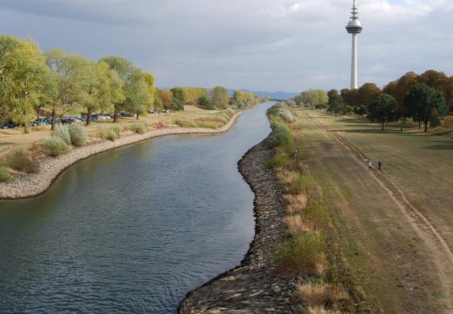 Neckar renaturiert